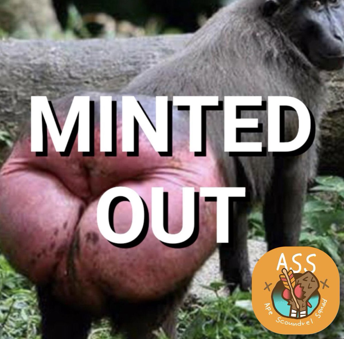 Ape Scoundrel Squad (ASS) tweet media