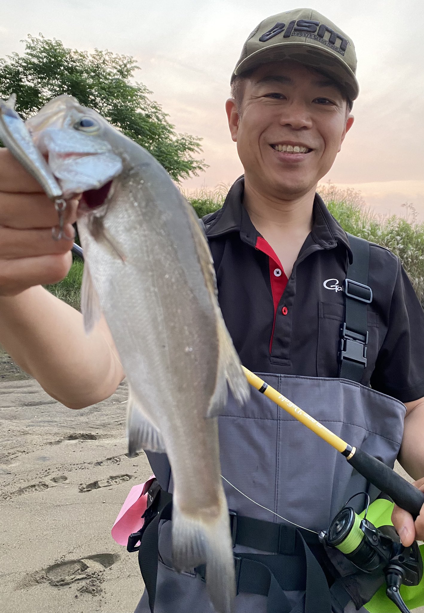 海園 Twitter Search Twitter