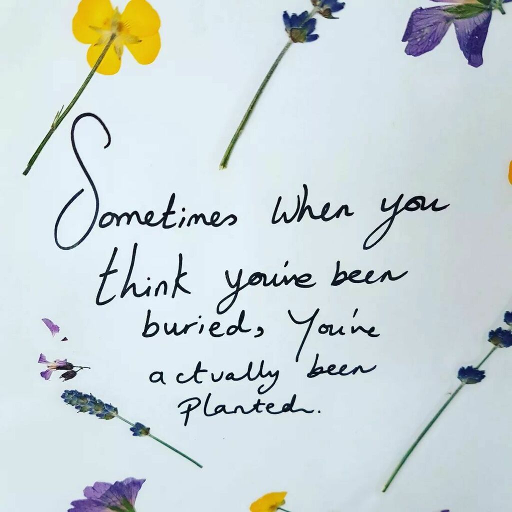 TheBeesleyBuzz's tweet image. Miss T&apos;s flower pressing with one of her favourite quotes. instagr.am/p/Ce--SYnrBIp/