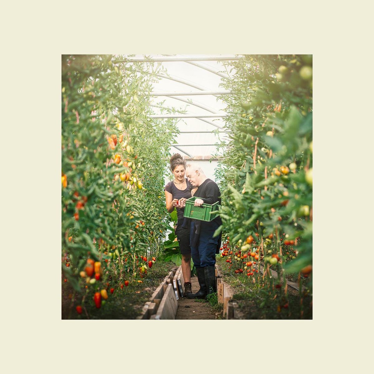 Supplying fresh and organic to #Dorset 🌱