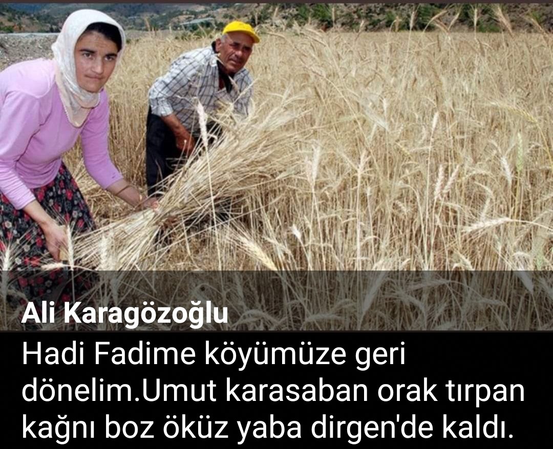 Berkmen (@alkaragzolu1) on Twitter photo 