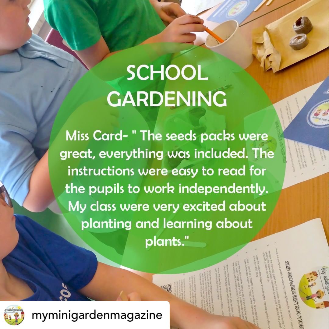 Big thanks to St Mary's and St Patrick's RC Primary, Maesteg for sharing their My Mini Garden class growing activity with us. Thrilled to be supporting school gardening activities. Find out more on our website myminigardenmagazine.com #kidsgardening #schools #schoolgardening