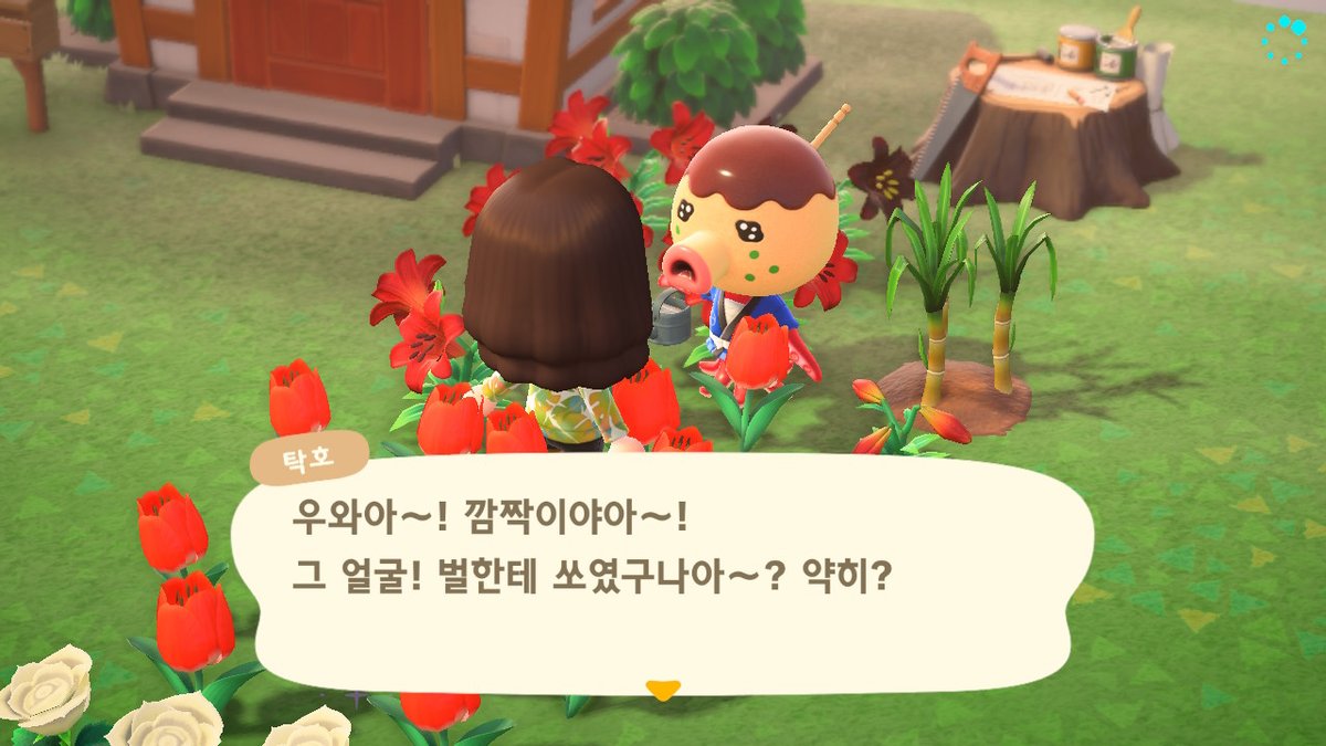 riii705's tweet photo. 우리섬 새주민 솔미는 넘 친절하고 탁호는 귀엽다ㅜㅡ
#동물의숲 #AnimalCrossing #ACNH #NintendoSwitch https://t.co/Ay3Gv7IxOX