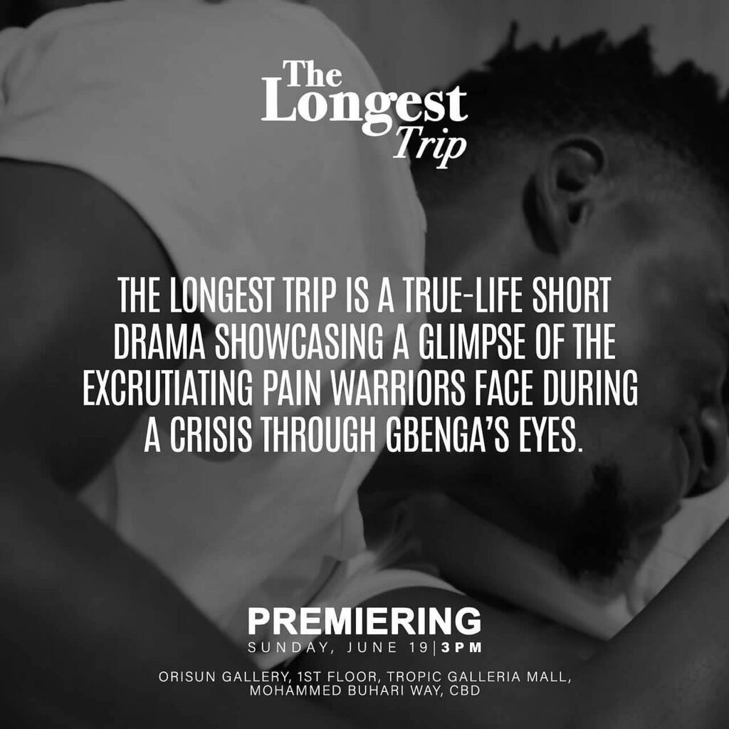 Kolimo Multimedia tweet media