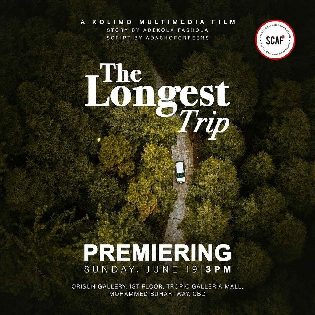 Kolimo Multimedia tweet media