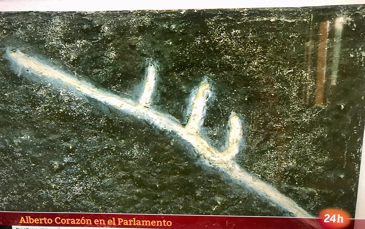 Juan Cuatrecasas Asúa🔛/♥️🌹 tweet media