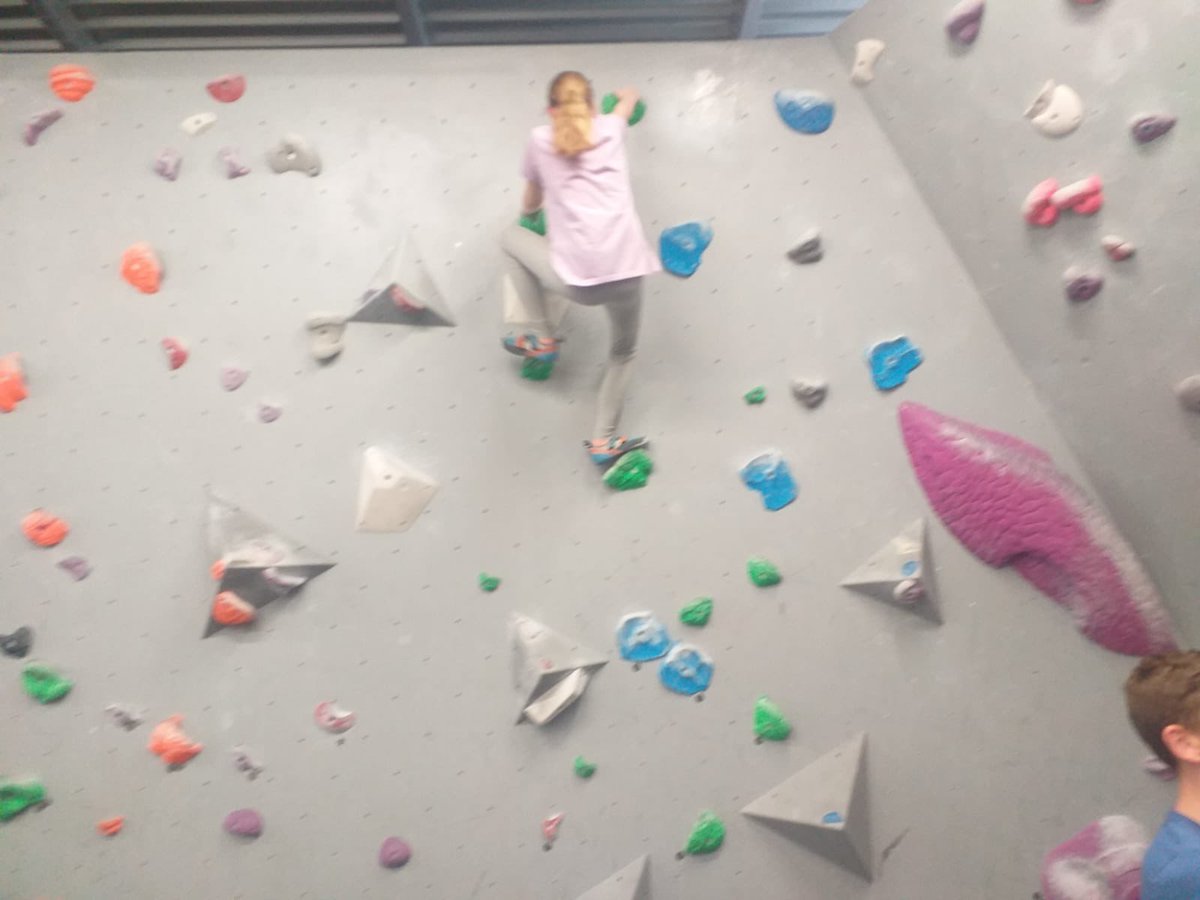 26th Picton Scouts tweet media