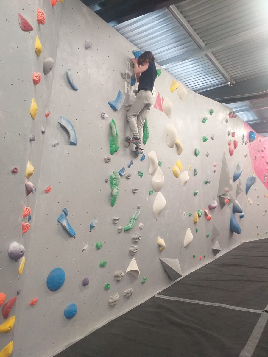 26th Picton Scouts tweet media