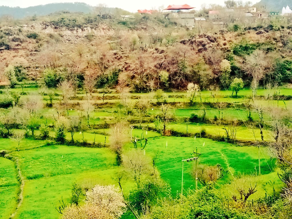 InduSha40069050's tweet photo. #NatureBeauty  #NaturePhotography 
#naturelovers https://t.co/AkmB5tWOZM