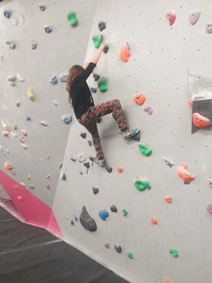 26th Picton Scouts tweet media