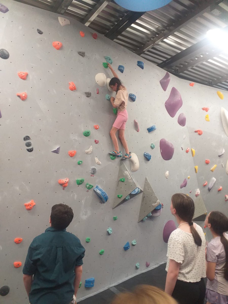 26th Picton Scouts tweet media