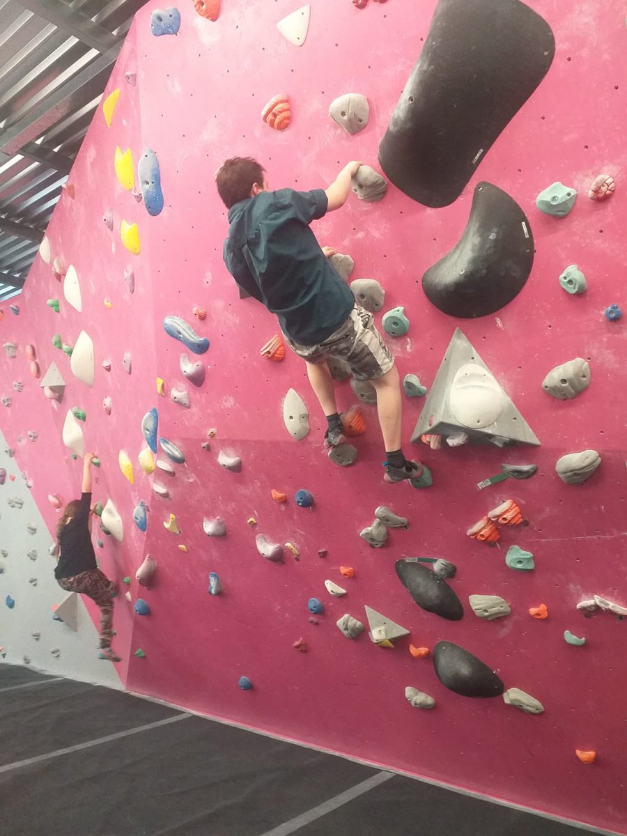 26th Picton Scouts tweet media