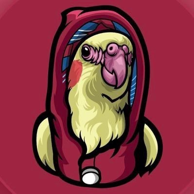 AllintecD's tweet photo. @NFTDaily @PigeInu @VulcanForged @ensdomains @BirdBroToken @usebraintrust @oct_network @KibaInuWorld @Ternoa_ @SuperRare @PotluckProtocol #birdbro great, birdbro is project of year! https://t.co/wcqWSqnCWk