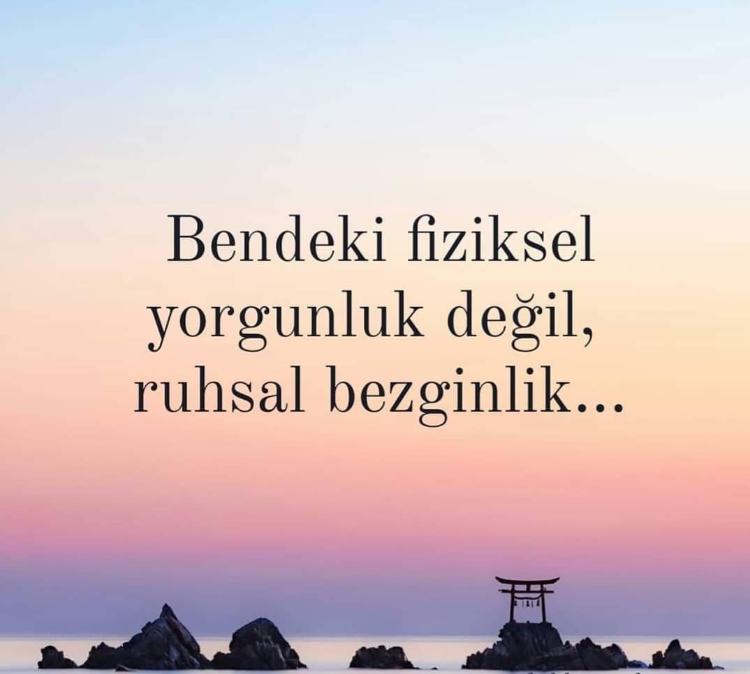 BadeBad58620802's tweet photo. 0539🌹419🌹22🌹19💋 #eskisehir #eskisehirbağlar #eskisehirespark #eskisehirtepebası #eskisehirodunpazari #eskisehiradalar #eskisehireskort #eskisehirbayan https://t.co/EBL5lhMO4W
