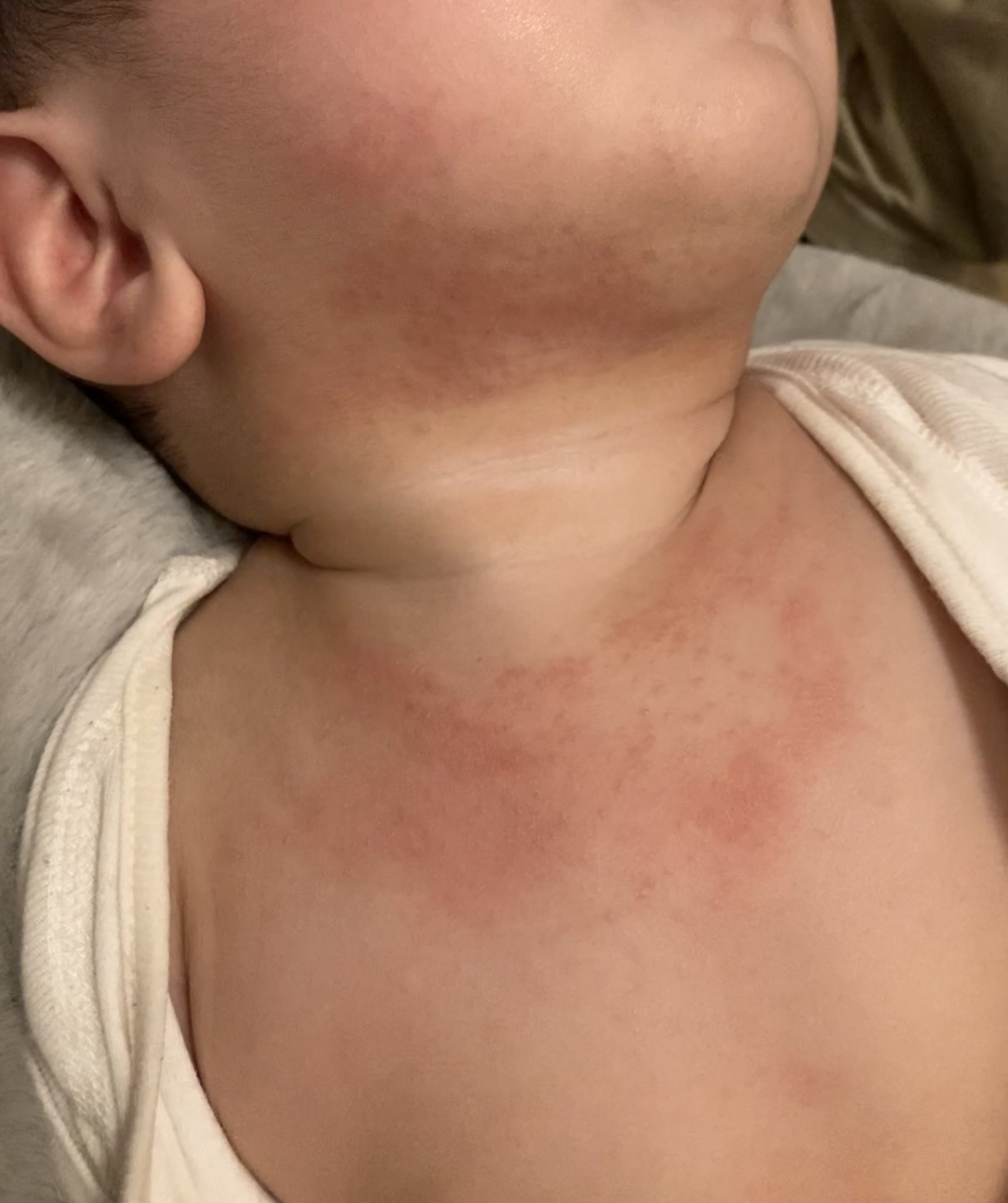 もちぷー 6m Mochipuuuu Twitter