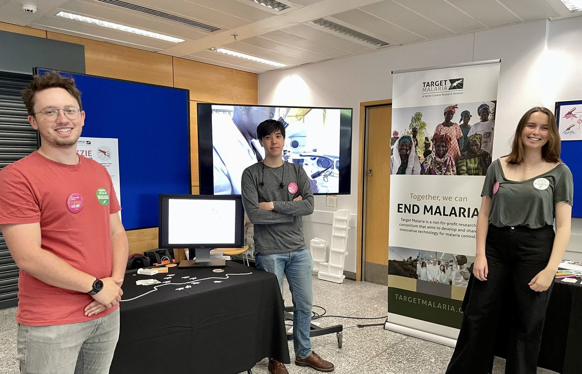 TargetMalaria's tweet photo. Join us on Day 2 of @ExRdFestival 🎉

Play our Target Malaria card game 🦟 &amp; learn about our work through a comic &amp; colouring book 📖✏️

Find us in the Sir Alexander Fleming building in the Medical Marvels section📍

#ExRdFest #endmalaria #malariaresearch #genedrive https://t.co/Q8zGCnzIJq