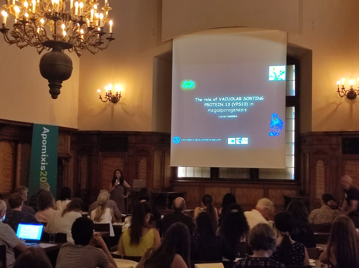 IASPRR @iasprr.bsky.social (@iasprr) on Twitter photo To open the second session we have Lucia Colombo <a href="/LabColombo/">Colombo Lab PlantDev UNIMI</a> and the role of the VPS13 in megasporogenesis #apomixis2022. To open the second session we have Lucia Colombo <a href="/LabColombo/">Colombo Lab PlantDev UNIMI</a> and the role of the VPS13 in megasporogenesis #apomixis2022.