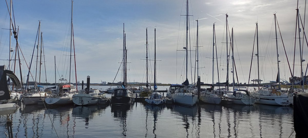 James Moss tweet media