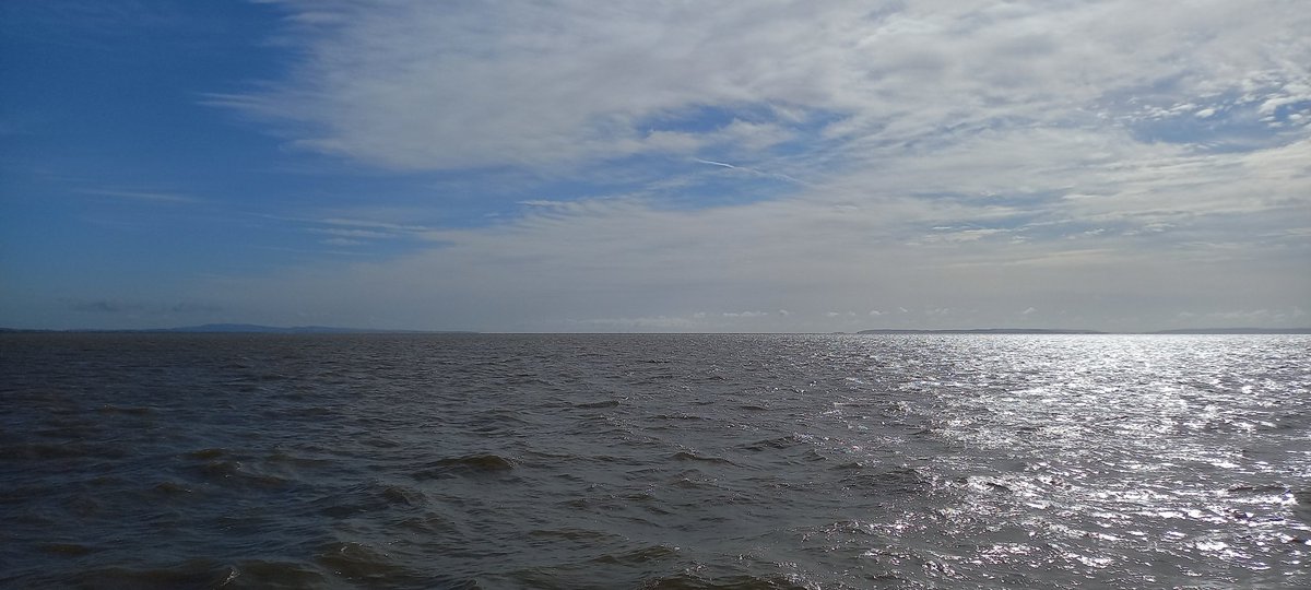 James Moss tweet media