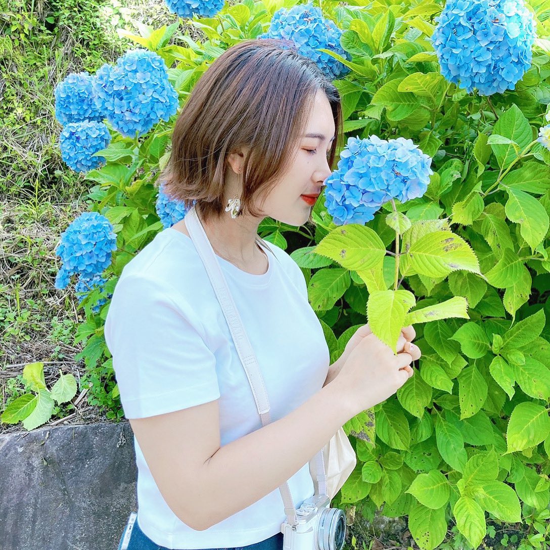 紫陽花きれいだった💙