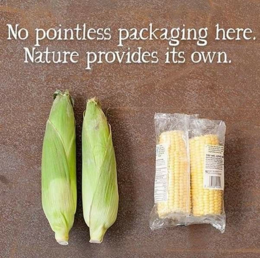 VaibhavkumarIRS's tweet photo. Think twice where we are going ♻️ #environment #earthsave https://t.co/liopfXMedf