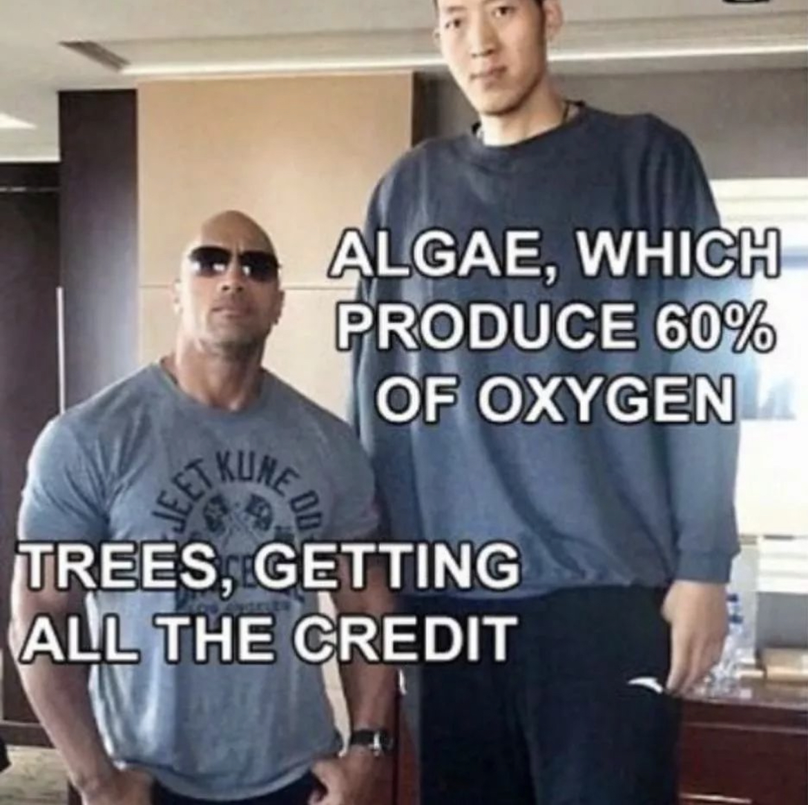 Respectful Memes (@respectfulmemes) on Twitter photo 