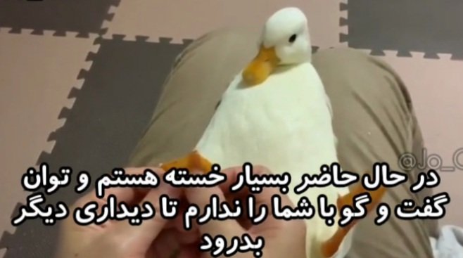 aynazzrw's tweet photo. @mahla_mirzaei https://t.co/sQ4bnnl2As