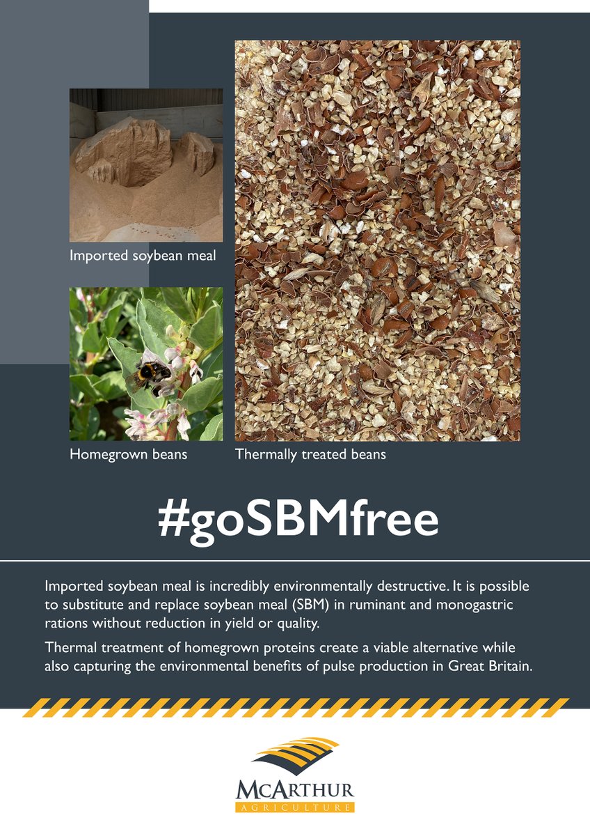 McArthur_Agri's tweet image. We are excited to be at Groundswell this week, we can&apos;t wait to talk intercropping (or unintercropping more accurately) and replacing soybean meal in livestock diets with homegrown protein. Come and find our more this week.

#groundswell #grainsorting #goSBMfree