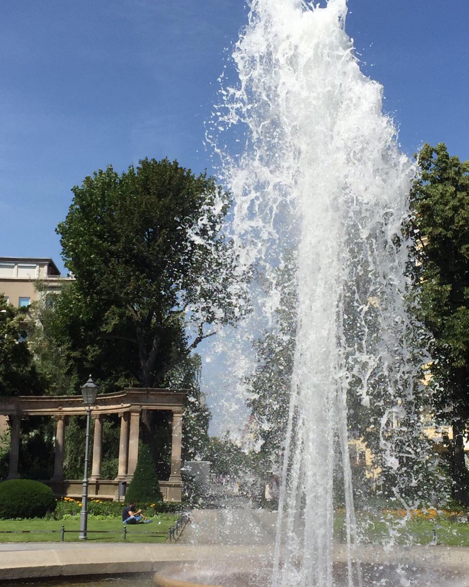 Ingrid Witowski tweet media