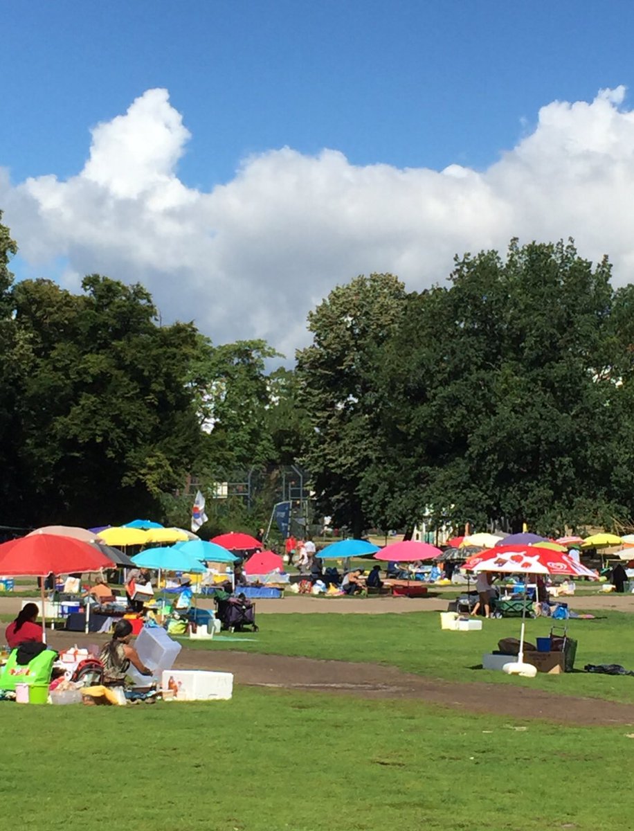 Ingrid Witowski tweet media