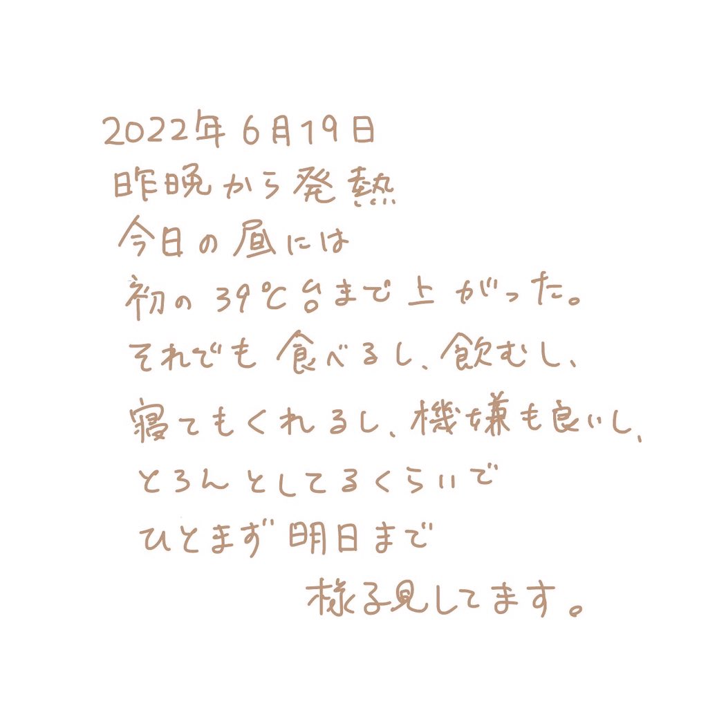 もん 小豆1y Kataruyubin Twitter