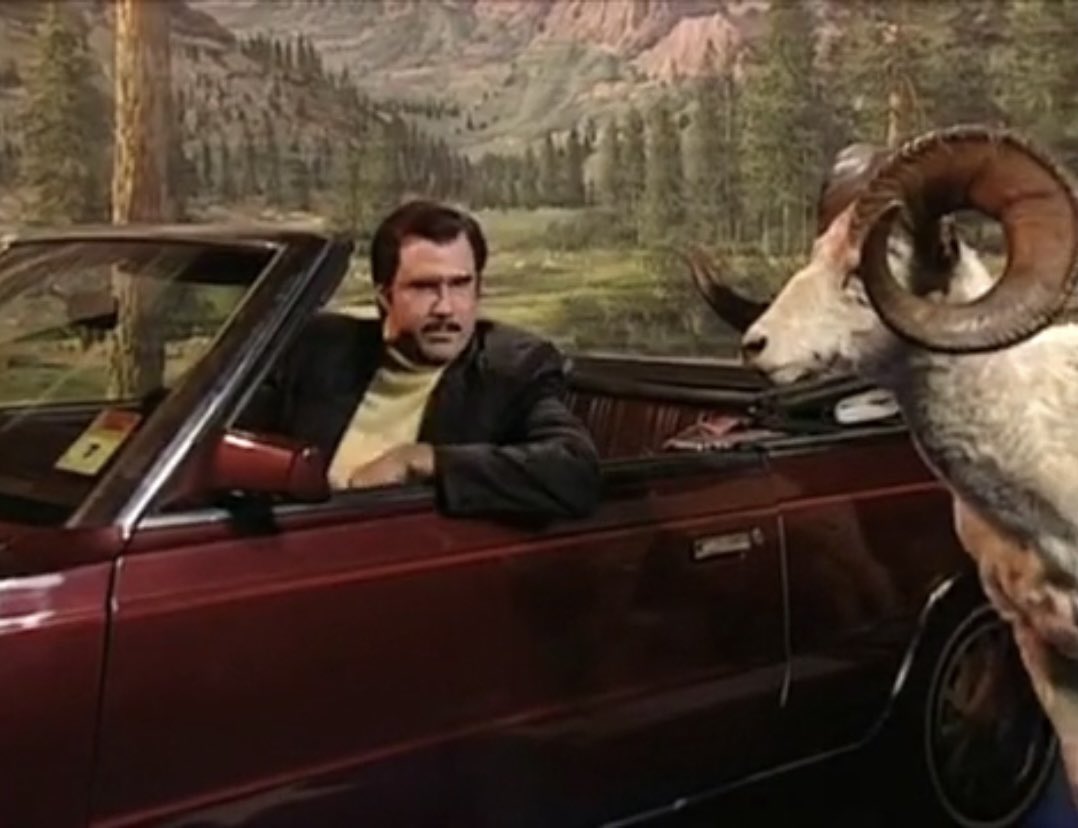 mr_corbod's tweet photo. @joethomas73 Lookie here…it’s a BigHorn! https://t.co/gtZyIZogaf