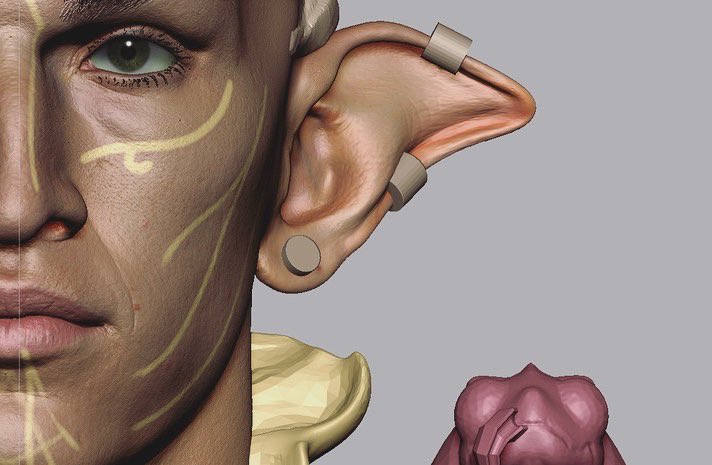 WIP on a High Fantasy elf. The thing on their shoulder is a bilfyardian toad, my thinking is that royals would use them to do the magics.