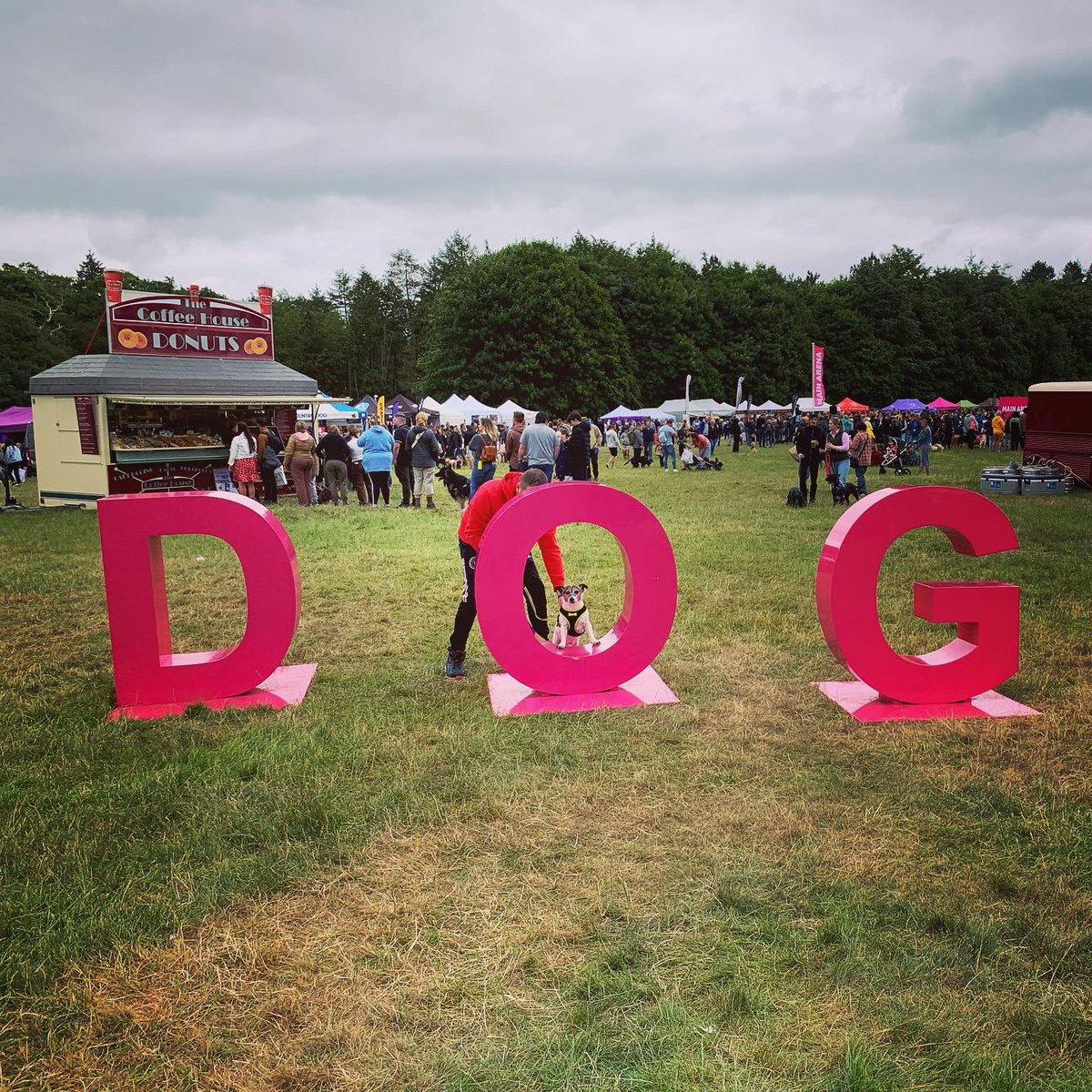 TheSashaJones's tweet photo. Woody having the time of his life at DogFest!
#DogFest #ManyPets #DogTrust https://t.co/MrWoWqpVRg