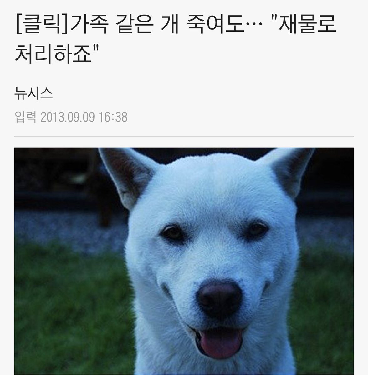 koohssomssom's tweet photo. 목요일까지 10,373명의 동의가 더 필요해요.
동물을 물건으로 취급하면 아이들을 해친 범죄자들은 벌금 정도로 풀려나요.
가족같은 아이가 죽어서 끝까지 싸워도 몇십만원 벌금형이 끝. 
재물이 아닌 소중한 생명체로 봐주세요.
https://t.co/tgHiUL0N7R https://t.co/0gHtjUgKHu