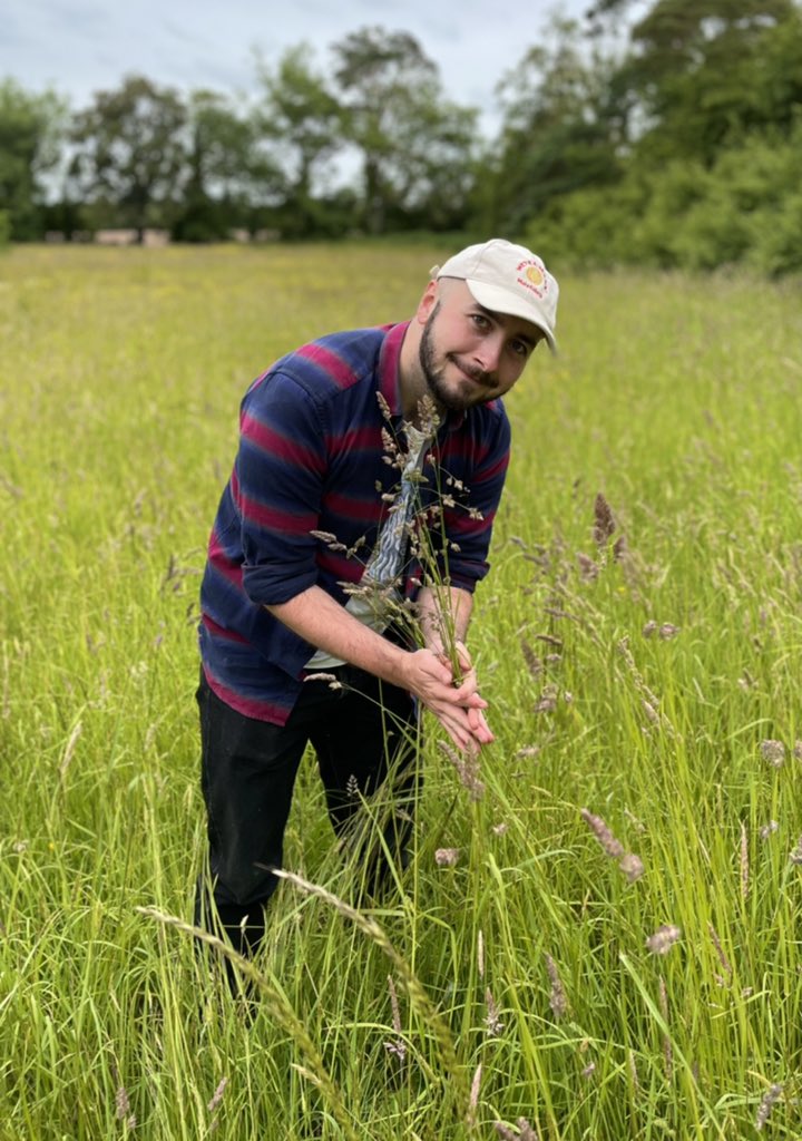 Wonderful weekend of foraging in @whiteecotrails at the foot of the Blackstairs in Co Carlow