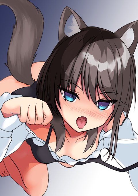 わるいオオカミ 