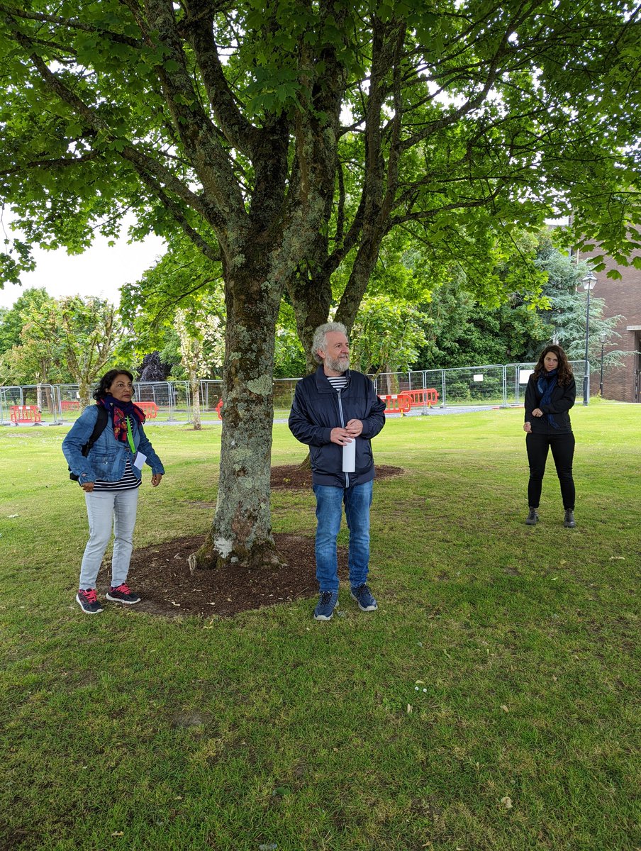 Forest bathing workshop followed by Japanese tea! Feeling refreshed for the afternoon! Thanks to Dr. Pat Harrold and friends for showing us how it's done!🌳🍵💪 #WRHC2022 <a href="/RuralWONCA2022/">WONCA World Rural Health Conference 2022</a>