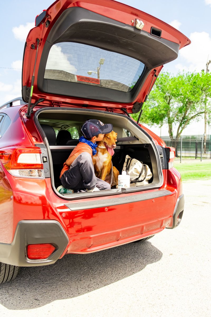 BertOgdenSubaru's tweet photo. Happy #FathersDay! 

Did you know that #BertOgden makes it easy for you to find the perfect gift for dad? 

Stop by our #Subaru dealership at 4221 South U.S. Highway 281 Edinburg, TX 78539 today and shop for the vehicle your father will love. https://t.co/3OeDLaFTfW