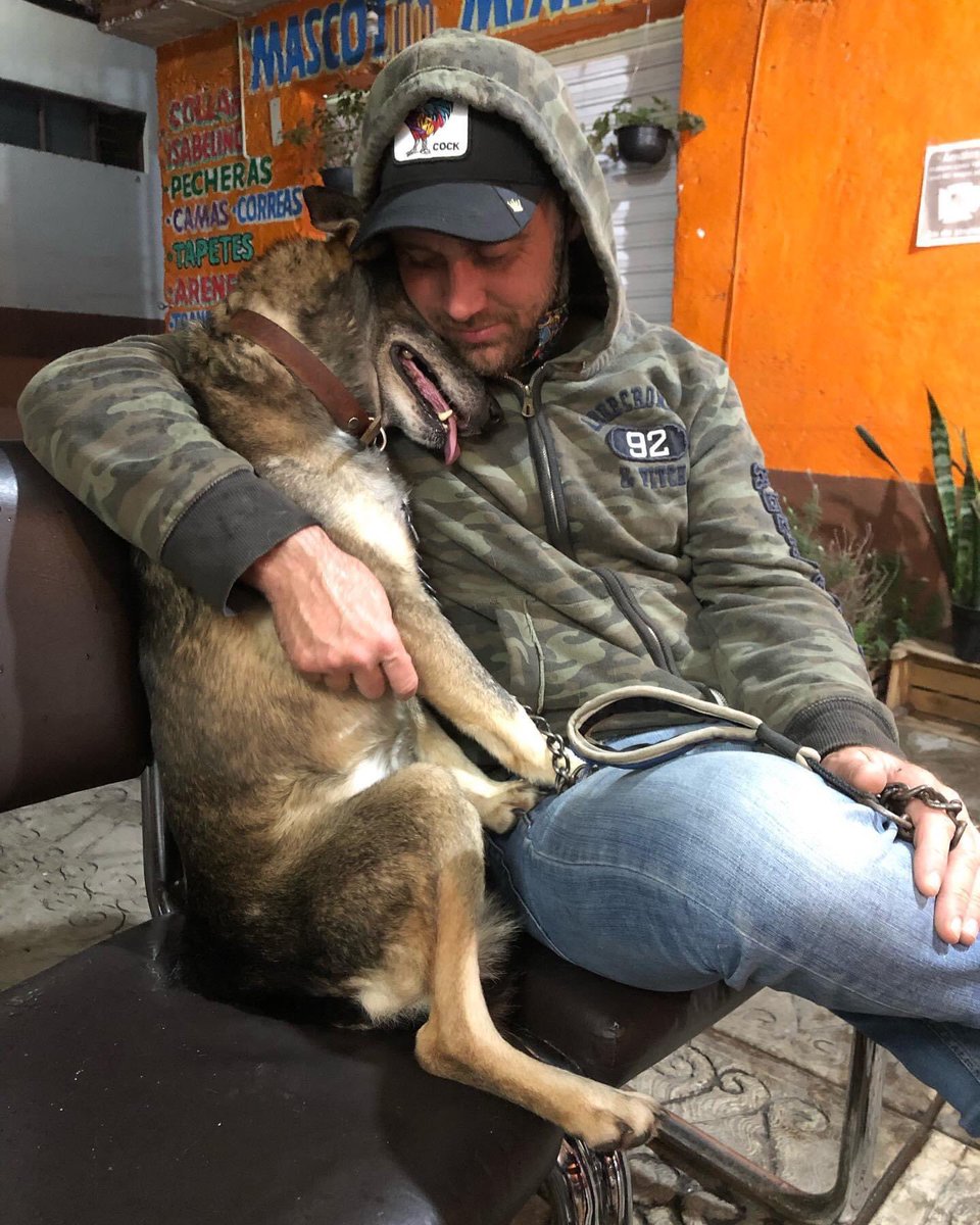 primero_perro's tweet photo. Feliz día a todos los papás que con amor,atención y cuidado han echo de nuestras vidas algo lindo ♥️

Nosotros tenemos un papá perruno maravilloso,aunque no encontré una foto más reciente,está la conservo por la ternura que se refleja en ella 🥹🐾
¡Te adoramos con el alma Jorge! https://t.co/eCu7rGoFGk