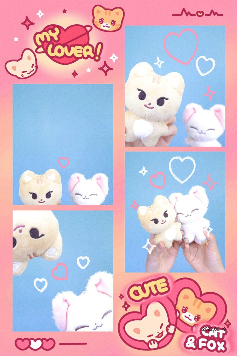 예니랑 리냥이도 오늘 찍고 왔어요🫶🏻💖