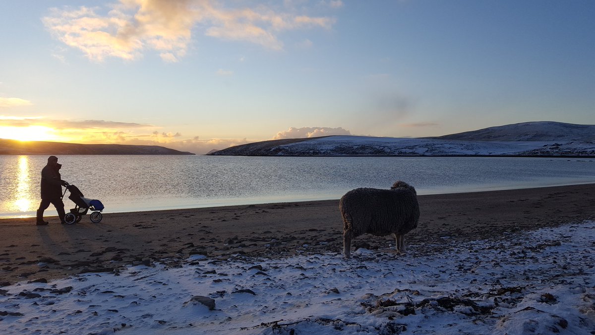 Hew Grierson tweet media