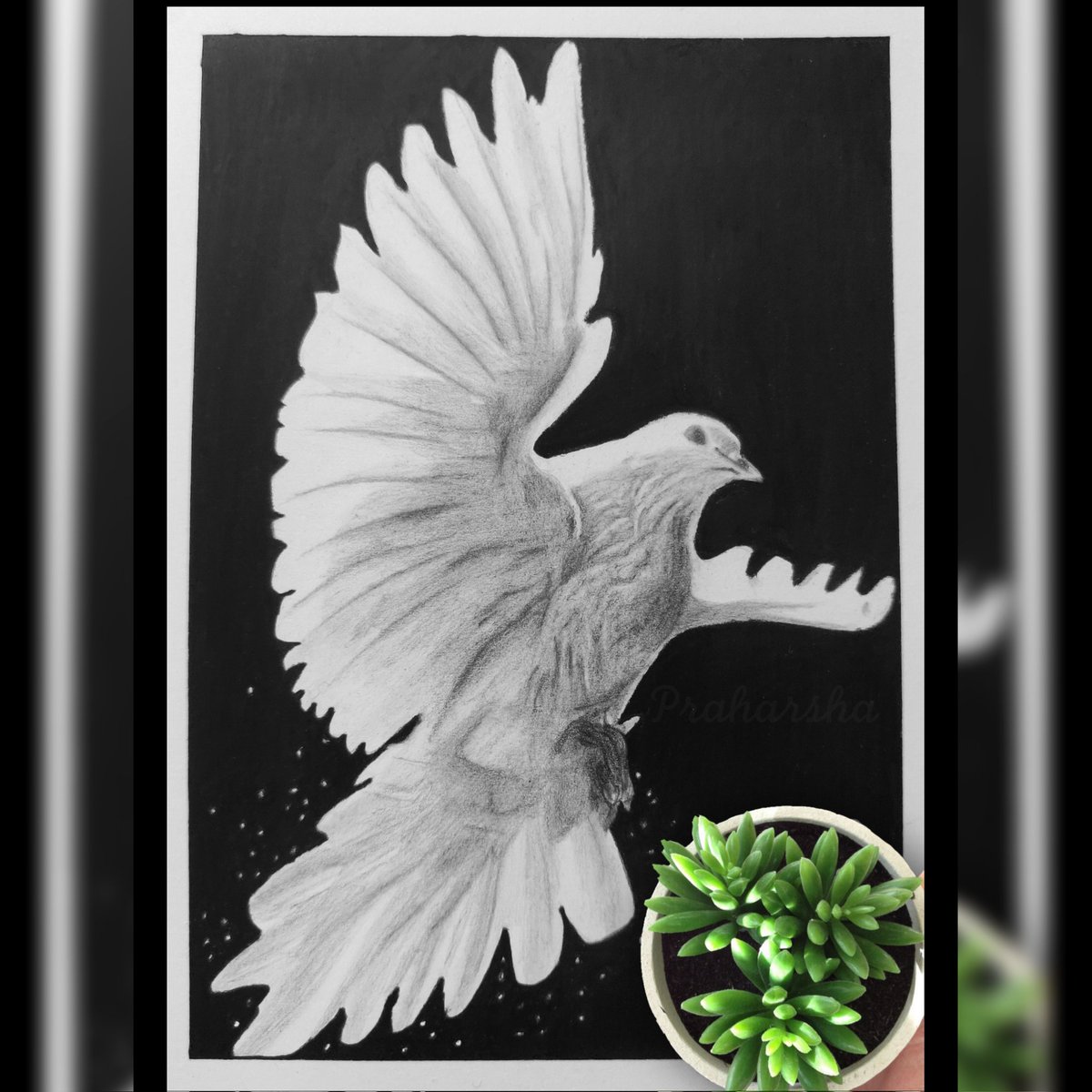 praharsha93's tweet photo. Masakali..🕊️

Learn Anything, Fly Anywhere ❤️
.
.
.
.
.
.
.
.
#pencildrawing #pencilonpaper #pencilartist #theessenceofartistry #blackandwhiteart #dove #photorealism https://t.co/dLnjUANgv9