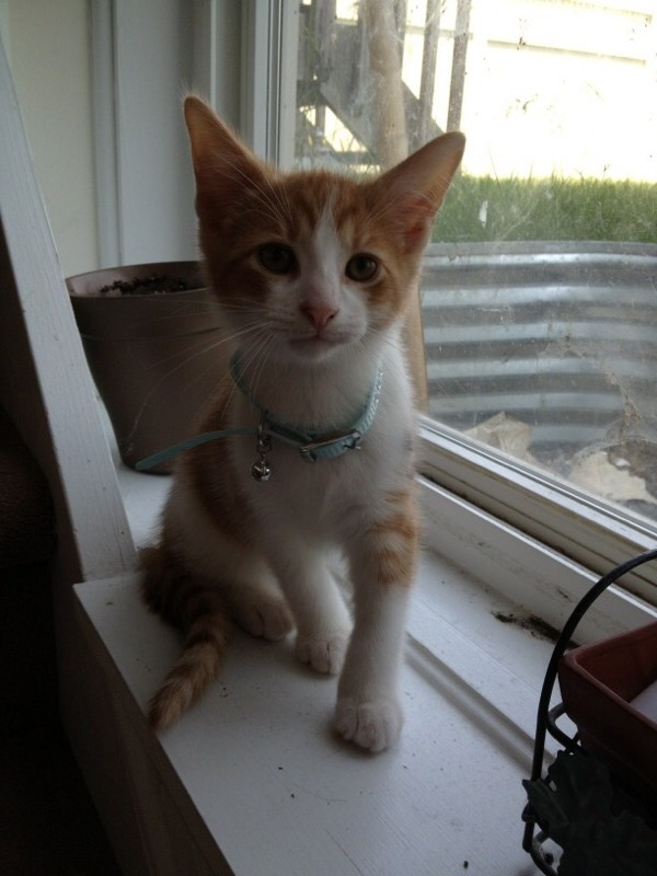 KurtFast's tweet image. Father's Day 2012
Father's Day 2022