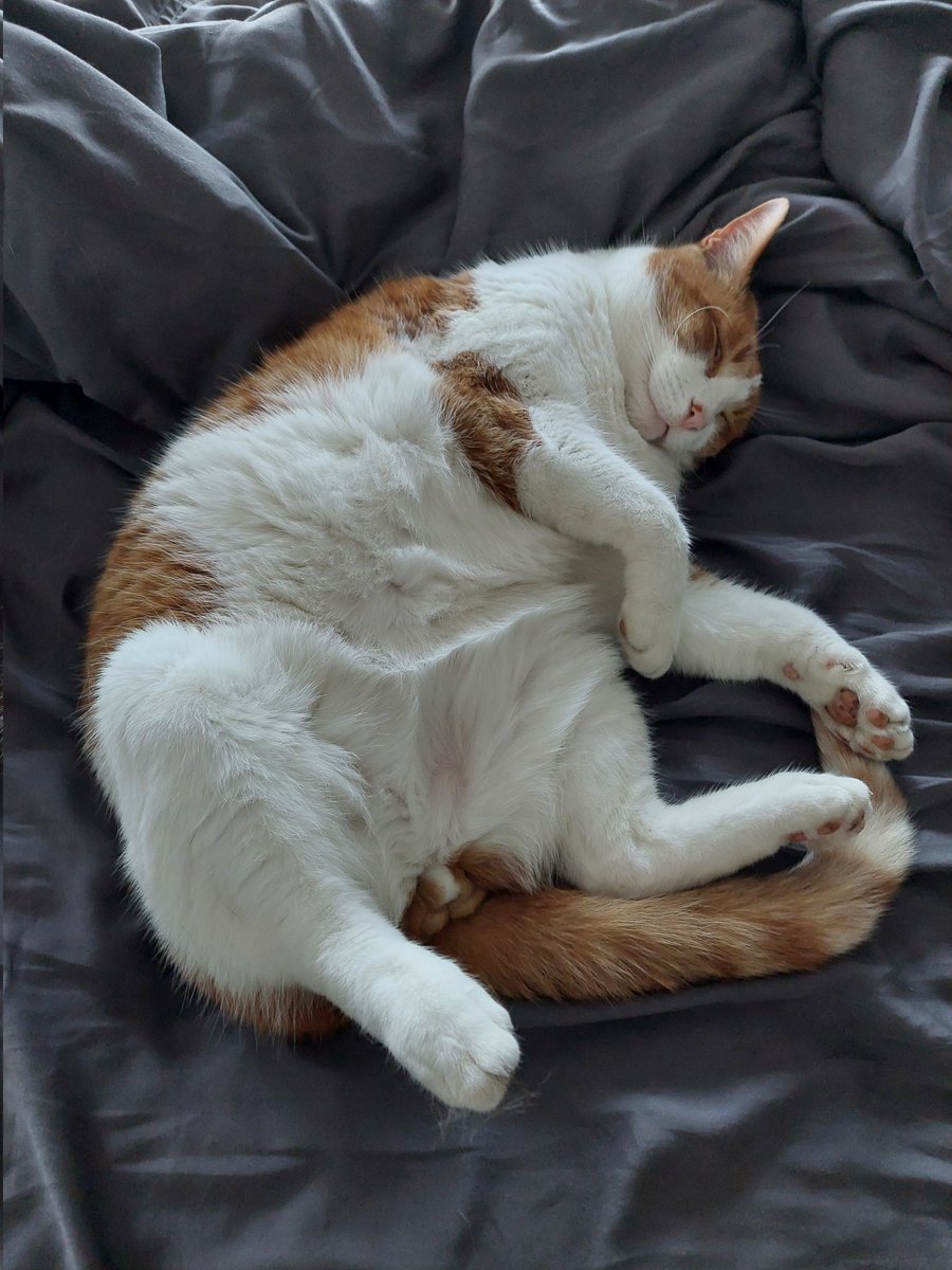 KurtFast's tweet image. Father's Day 2012
Father's Day 2022