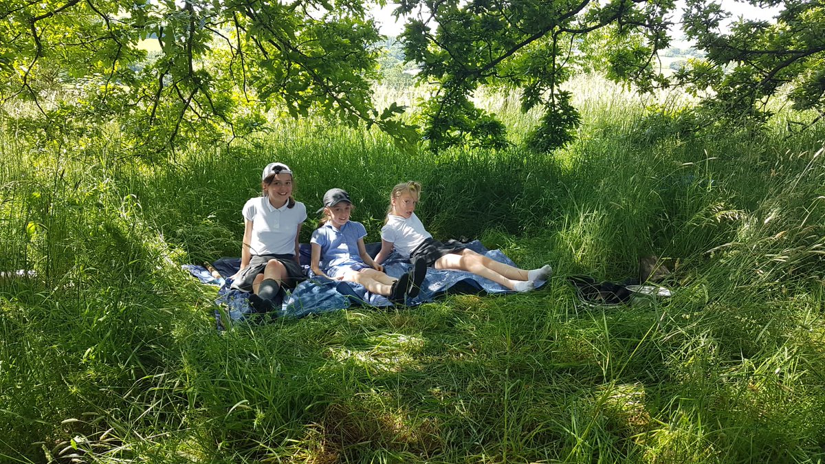 Boyle & Petyt tweet media