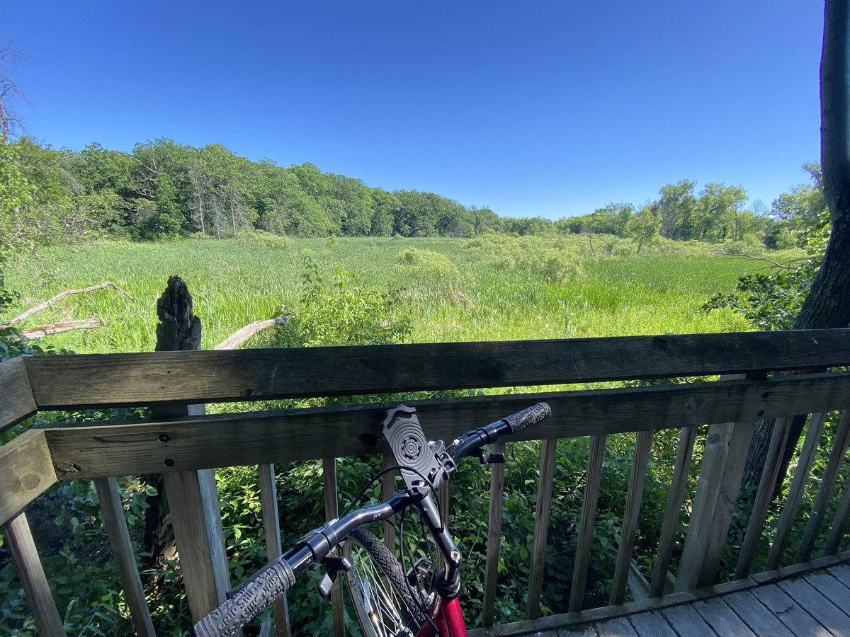 Gina Pagán tweet media