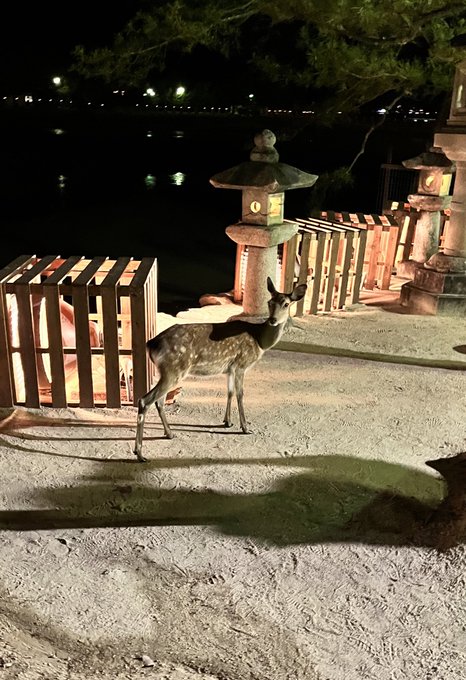 そしてこれは鹿。 