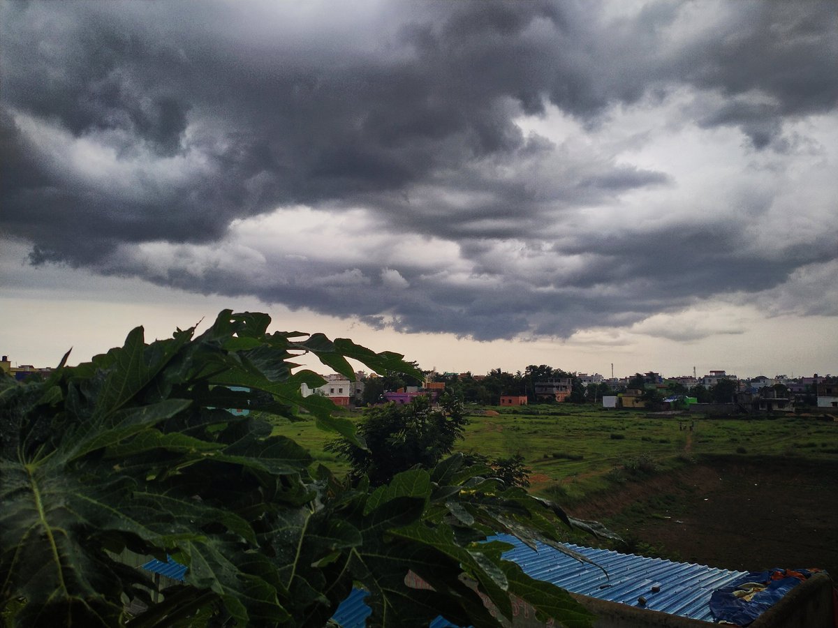 Anilkumar10i85's tweet photo. A beautiful #Monsoon2022 pic full of clouds (file size 9.2 MB) taken on #RealmeNarzo20A via #googlecam 
#StormHour #ThePhotoHour #odisha #bhadrak https://t.co/bx08fWOeBY