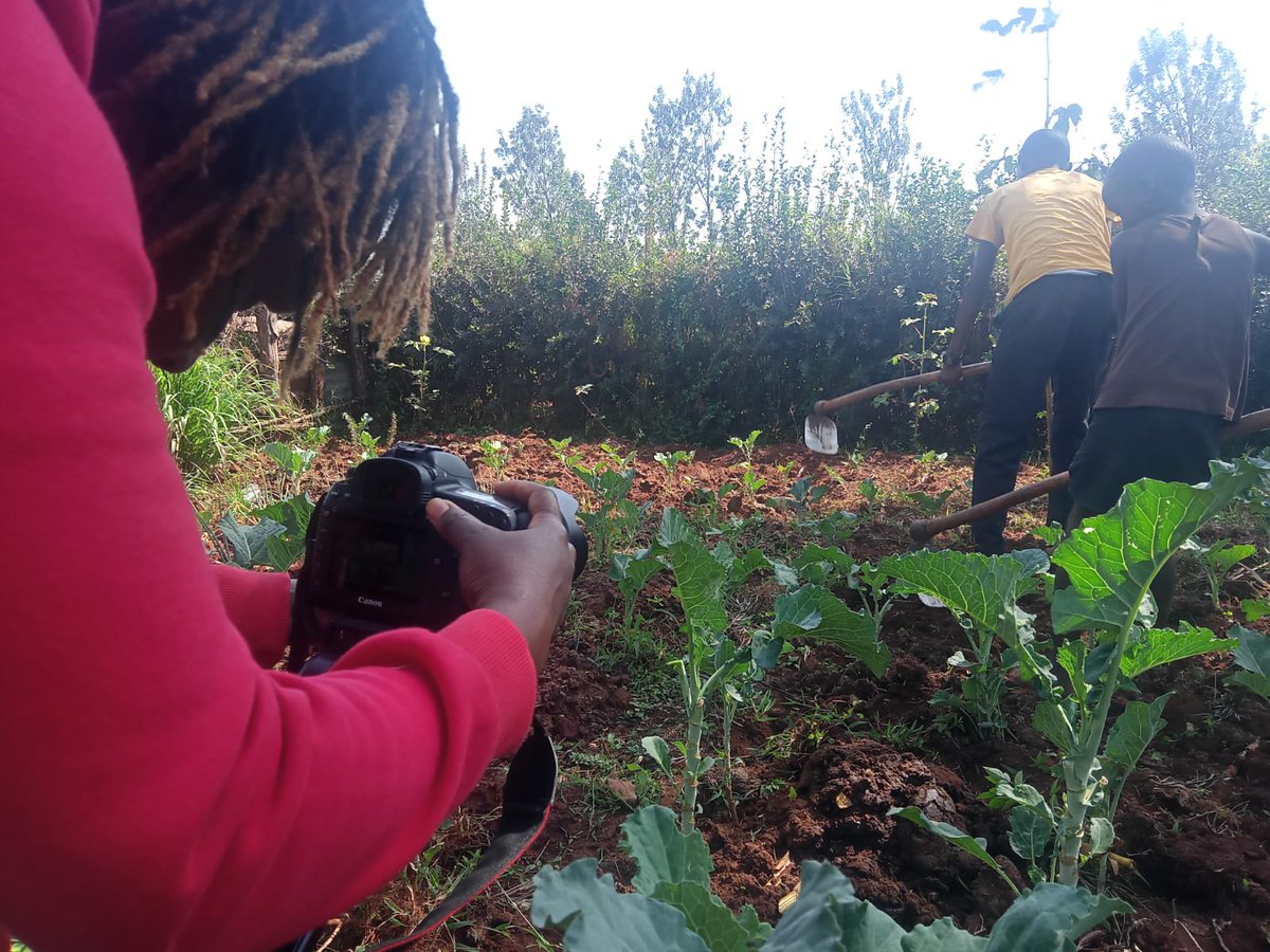 Global Media Campaign to End FGM tweet media